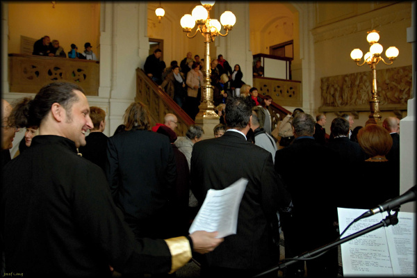 Musical accompaniment for wedding ceremony - West Bohemian Museum Pilsen - 12. 11. 2016 (1)