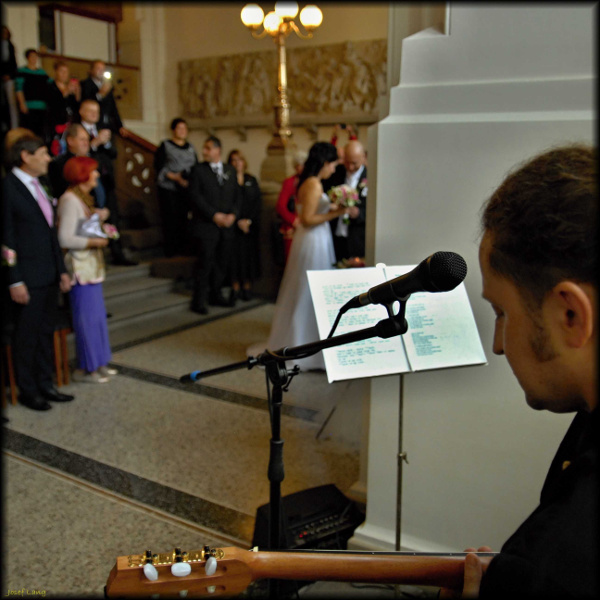 Hudebn doprovod ke svatebnmu obadu - Zpadoesk muzeum v Plzni - 12. 11. 2016 (3)